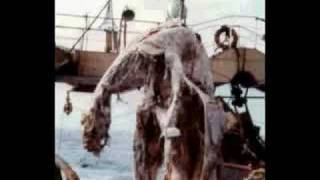 Creature Feature - A Gorey Demise