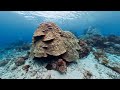 綠島石朗 六米礁 小丑魚島 前鏡頭重製