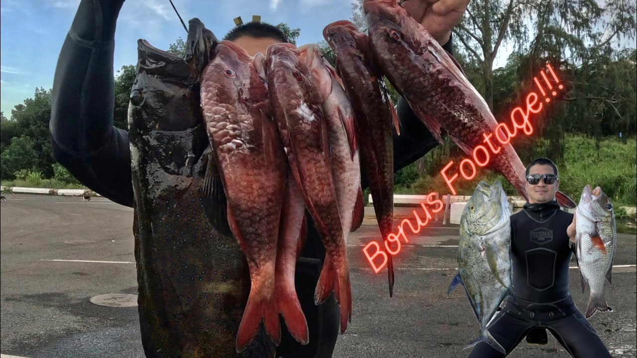 Spearfishing Hawaii 2025 "After Work Special!" including bonus footage you don't want to miss!