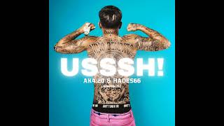 AK4:20 Feat. Hades66 - USSSH! | Extended By Joseph DJ