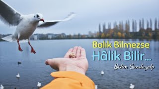 Balık Bilmezse Hâlık Bilir / Selim Gündüzalp Resimi