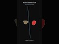 Create a visually stunning educational STEM video that opens with this hook: 'Your coffee cup is ...