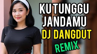 Download lagu DJ dangdut remix!! Kutunggu jandamu