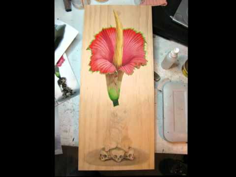 11+ Contoh Gambar Lukisan Bunga Raflesia - Koleksi Bunga HD