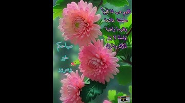 قرآن وحديث الجمعة #اكسبلور #القزابري #تيك_توك #المصحف #ترند #الرحمن #قرآن #سعد_الغامدي #سورة_الكهف