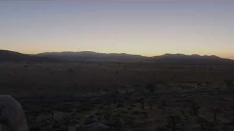 Dusk Dusk