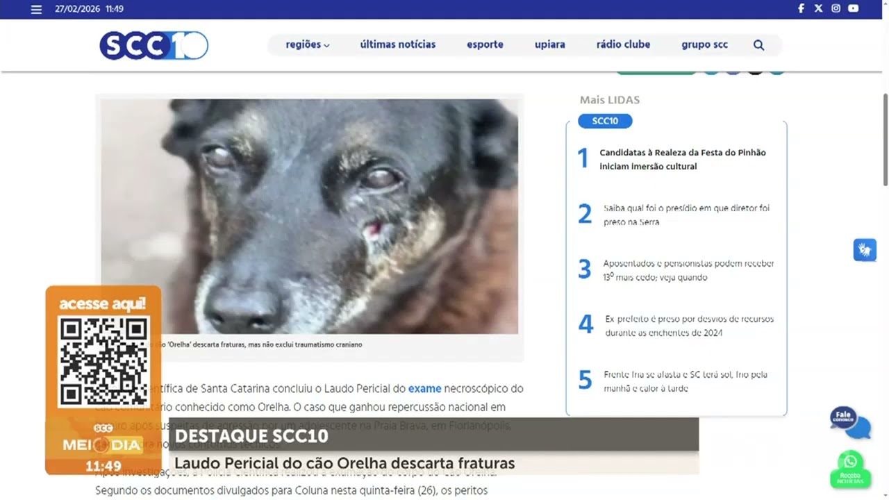 DESTAQUE SCC10: laudo do cão Orelha descarta FRATURAS | Cotidiano | SCC Meio-Dia