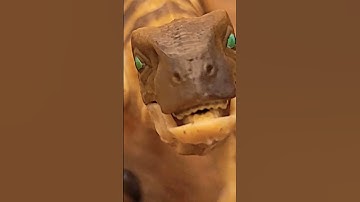 The ending of Jurassic Park in a nutshell #shorts #jurassicpark #jurassicworld