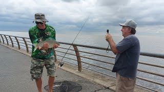 Extreme fishing in the heart of Buenos Aires! Catching Tarpon and Carps with 'Masa de León'