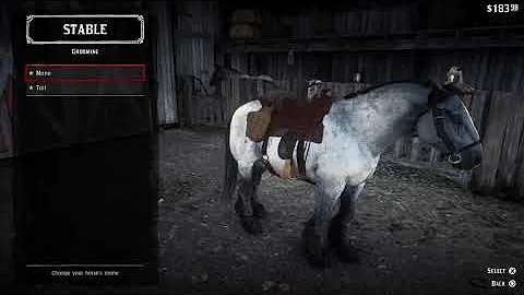 How much does war horse cost?