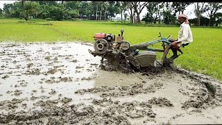 Mini power tiller / Cultivator /Agricultral macine in paddy land for cultivation|Village Agriculture