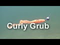 Силиконовые приманки Bait Breath Curly Grub | Soft baits