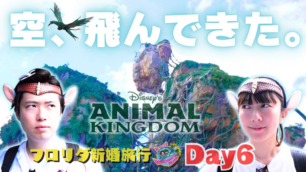 【アニマルキングダム】空を飛んで、野生に触れて、世界の料理を味わう、未知の体験づくしの1日【フロリダディズニーワールド】