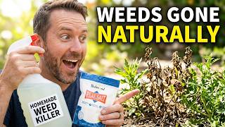 How To Kill Weeds Naturally Powerful 3-Ingredient Homemade Weed Killer