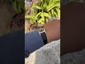 【厚時評測】青銅的靈魂｜Venezianico Redentore Bronzo：一支會陪你一起變老的錶