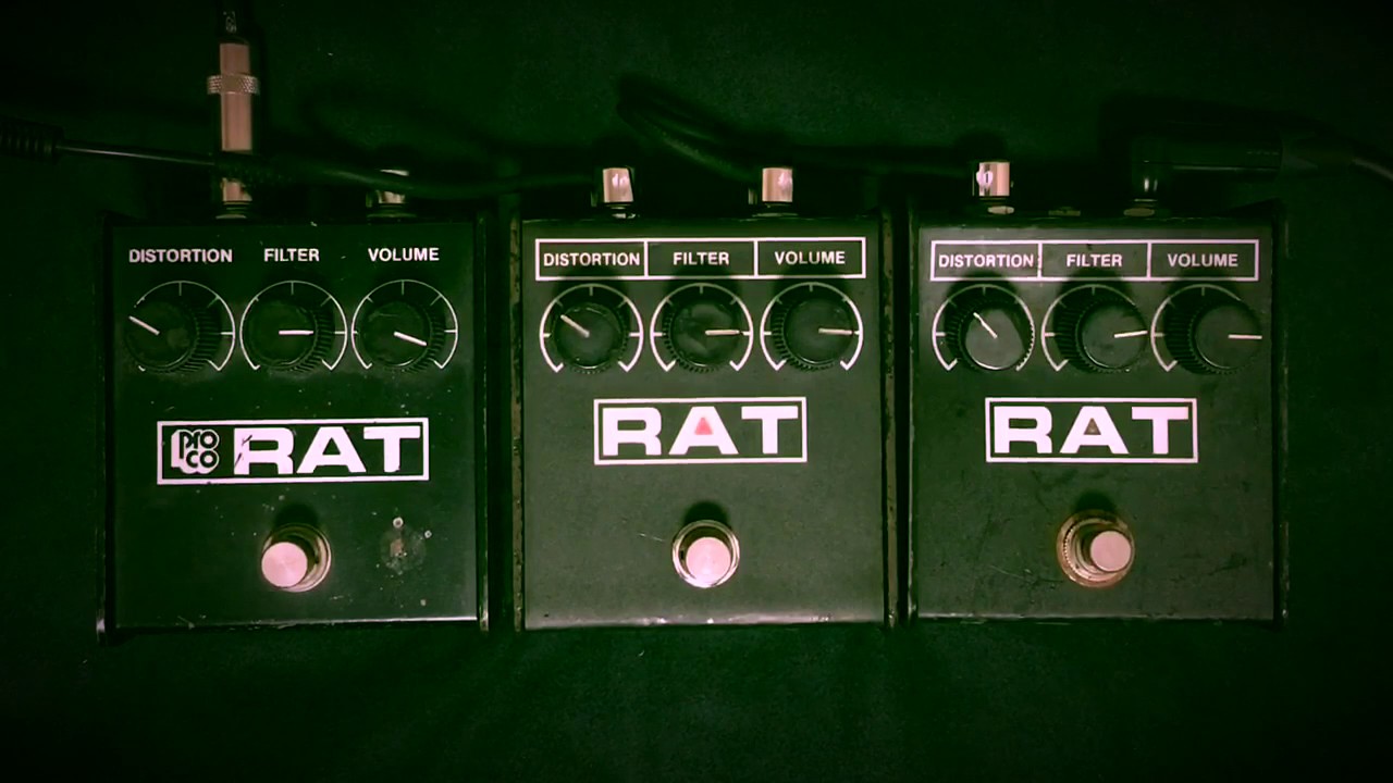 Proco. RAT1  ディストーション