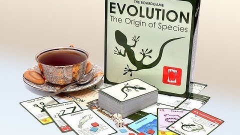 Evolution Game Video Review