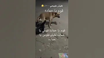 قوم يا حماده عليك فلوس يا حماده قوم يا حماده كانت خلفت الندامه حماده 