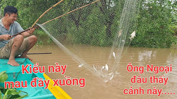 Càng vớt cá càng nhiều. Trúng gần 20kg cá 1 buổi sáng | Săn bắt SÓC TRĂNG