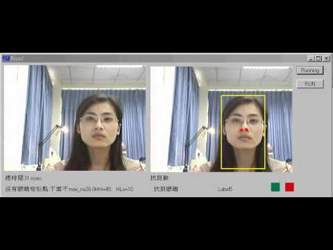 即時人眼偵測技術