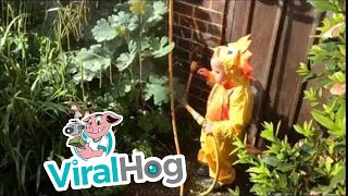 There's Something Lurking In The Garden || ViralHog
