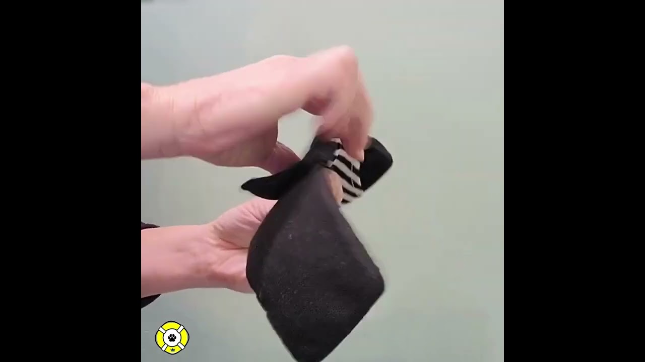 Armigos short instructional video