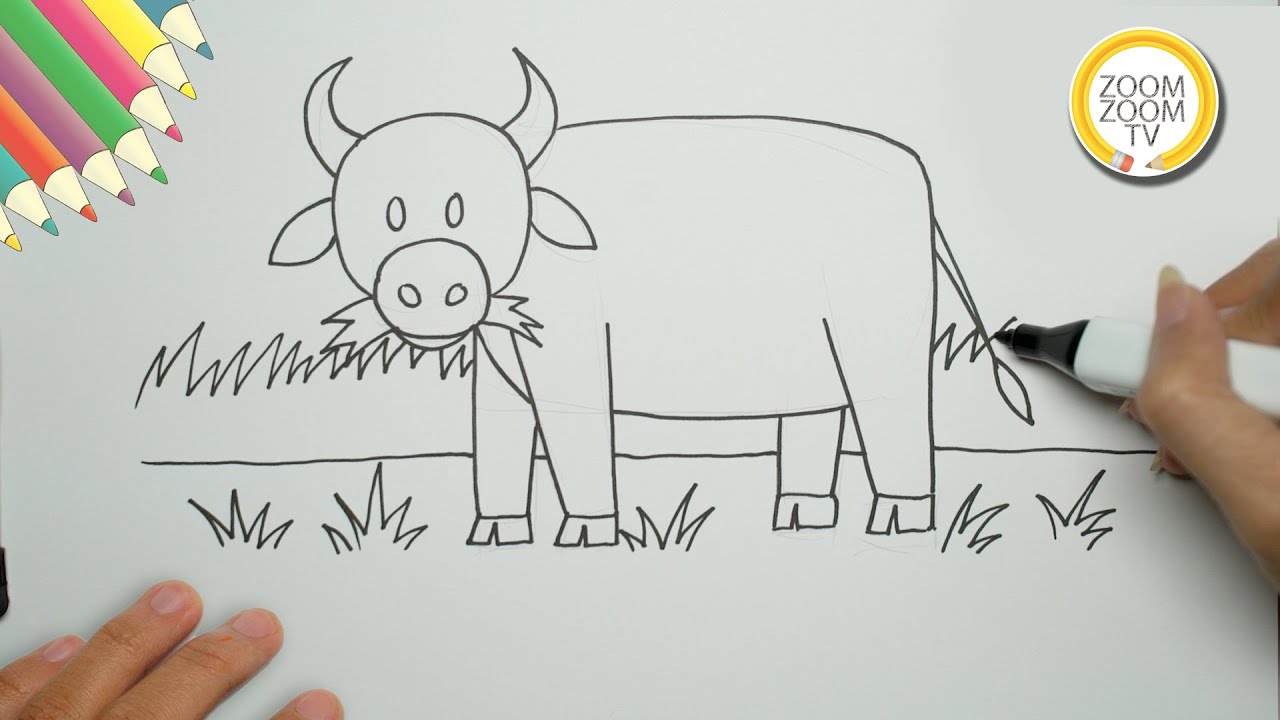Hướng dẫn cách vẽ con Trâu gặm cỏ - How to draw buffalo | Zoom Zoom TV -  YouTube