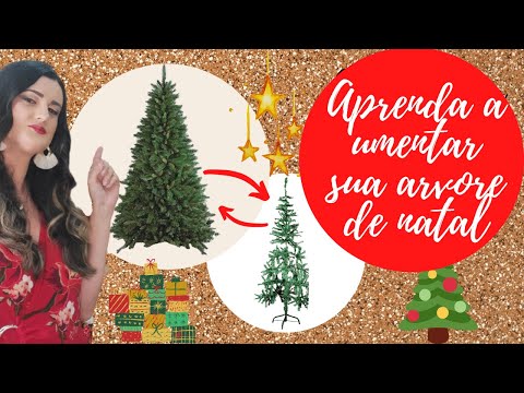 Vídeo: Como Prolongar A Vida De Uma árvore De Natal