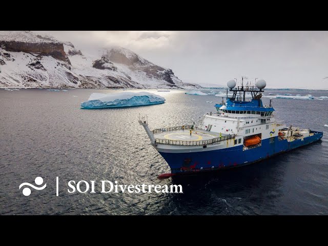 George VI Ice Shelf, Antarctica | SOI Divestream 788 - YouTube