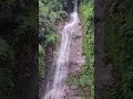 প্রকৃতি এত সুন্দর্য #shorts