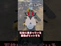 【ゆっくり解説】絶対に検索してはいけない言葉5選【Part2】 #shorts