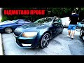 Skoda Octavia GreenLine - скрутили і підфарбували (але нікому не сказали)