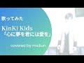 【歌ってみた】「心に夢を君には愛を / KinKi Kids」【cover】