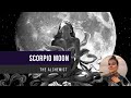 IS YOUR MOON IN #SCORPIO? | THE ALCHEMIST