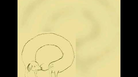 crywank - only everyone can judge me