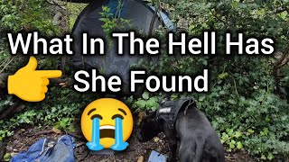 On Our Way Around The Park When My Retired Police K9 Made A Shocking Discovery In The Woods 🤯