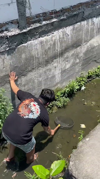SESER IKAN CHANNA DI SELOKAN!!! #ikan #channa #mancing #yogagembul