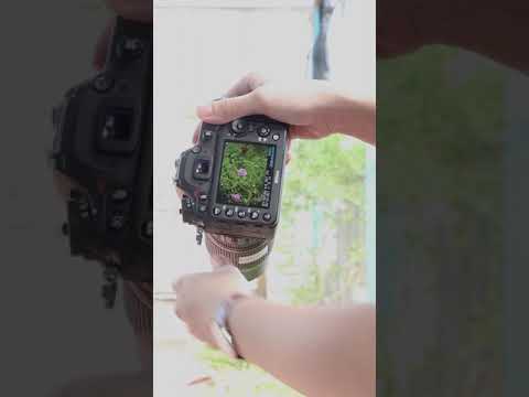 Video: Nikon d90 là thân máy DX hay FX?