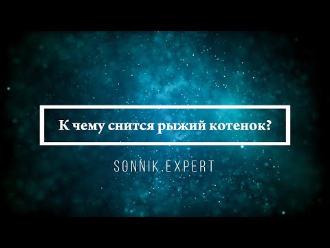 К чему снится рыжий котенок — Онлайн Сонник Эксперт