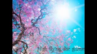 Abraham Hicks - High flying disc guarantee! SasM!X