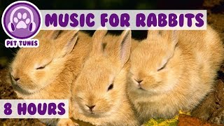 Over 8 HOURS of Relaxing Music for Rabbits! Natural Stress and Anxiety Relief for Rabbits! screenshot 3