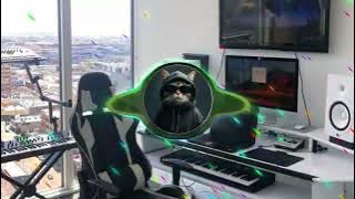DJ AKU KECAPEAN SEHARIAN CARI UANG | DJ SAYANG GAMMA 1 VIRAL TIKTOK TERBARU