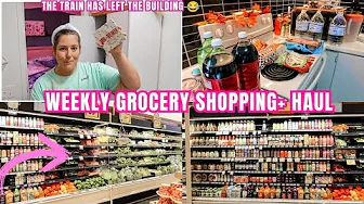 MOBILE HOME LIVING FOOD LION GROCERY HAUL SHOPPING | KIMI COPE