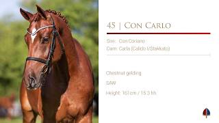 45 Callaho Con Carlo (Con Coriano/Calido/Stakkato/Contender)