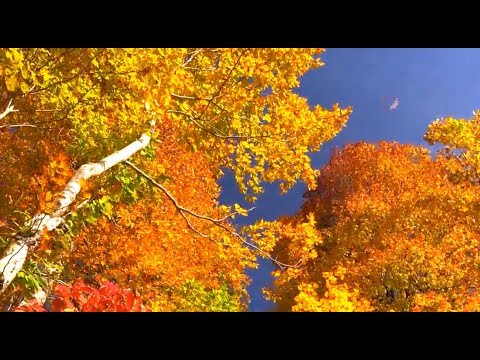 VALDI SABEV - So Much Beauty - YouTube