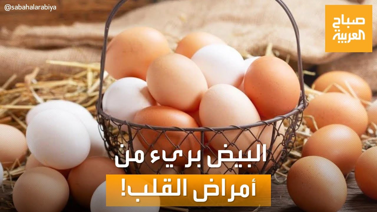 صباح العربية | العلم يحسم الجدل.. البيض بريء من الكوليسترول وأمراض القلب