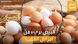 صباح العربية | العلم يحسم الجدل.. البيض بريء من الكوليسترول وأمراض القلب
