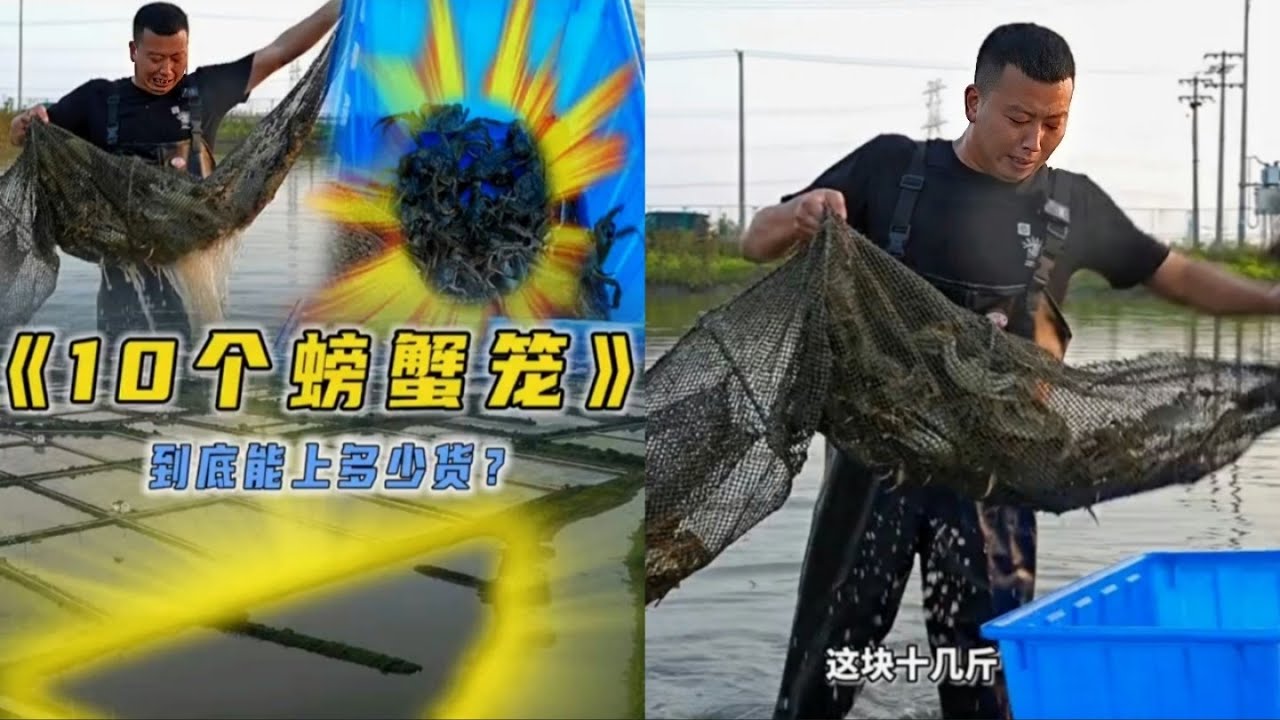 花8000元包下10个螃蟹笼，到底能上多少货？是亏还是赚？#户外抓鱼 #户外捕鱼 #小飞哥抓鱼 #乡村生活 #农村生活