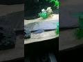 bombastic African cichlid #funny #fish