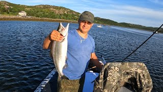 ГОРБУША С ЛОДКИ / Humpback salmon from the boat